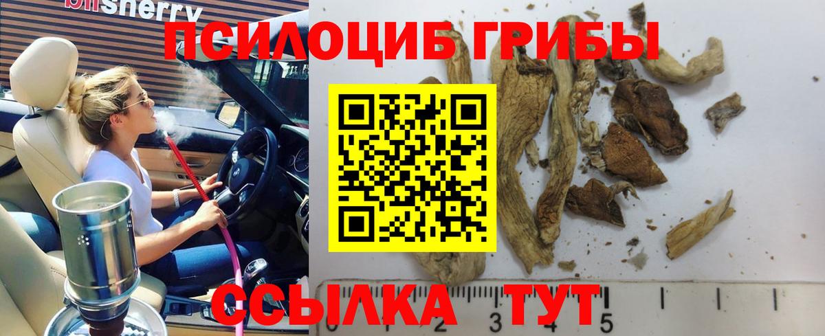 Галлюциногенные грибы Cubensis Кондопога