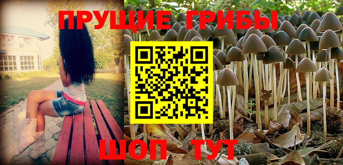 Псилоцибиновые грибы Psilocybe  Псилоцибиновые грибы Cubensis  Кондопога  Вход с VPN 